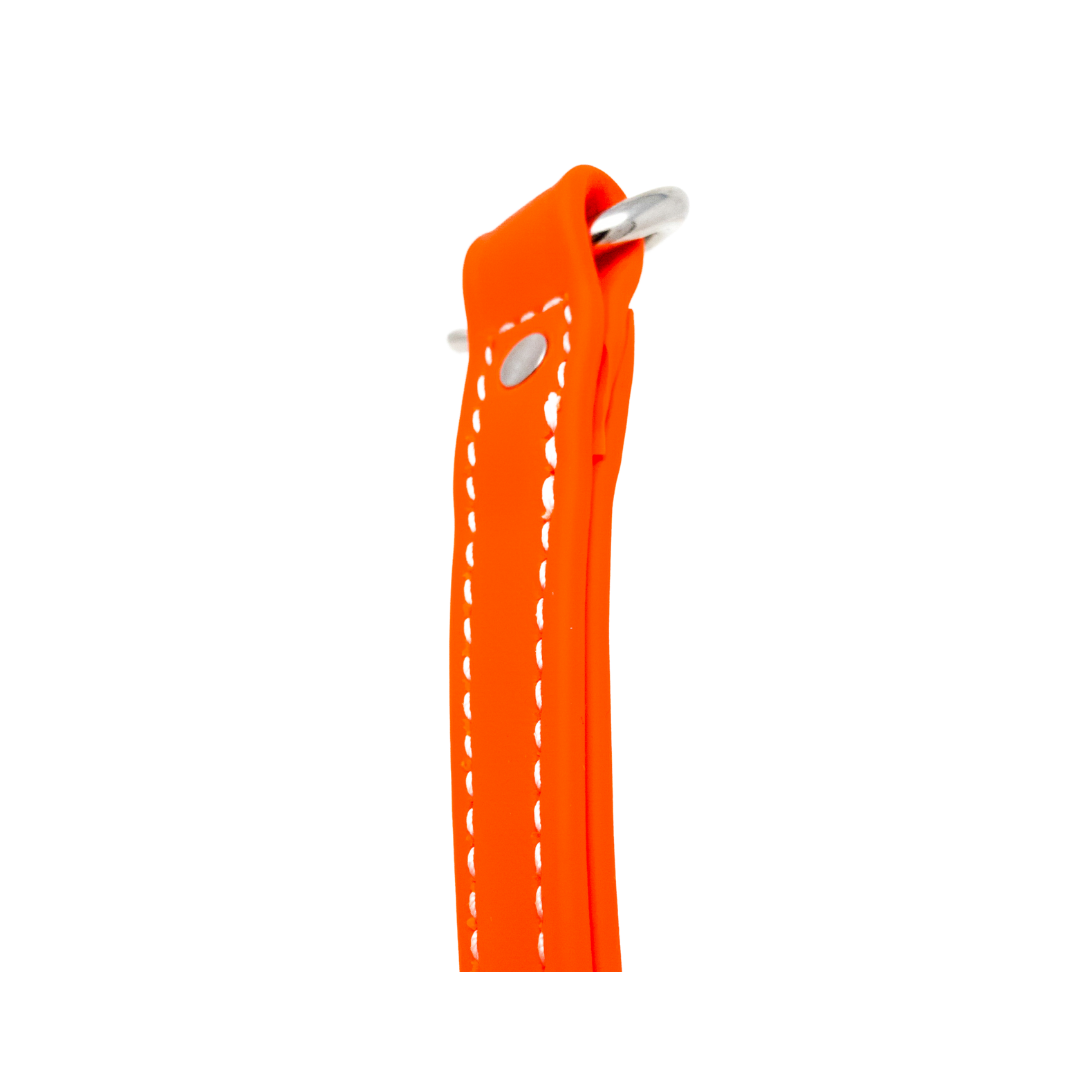 8" Steady Tab for Retriever Training