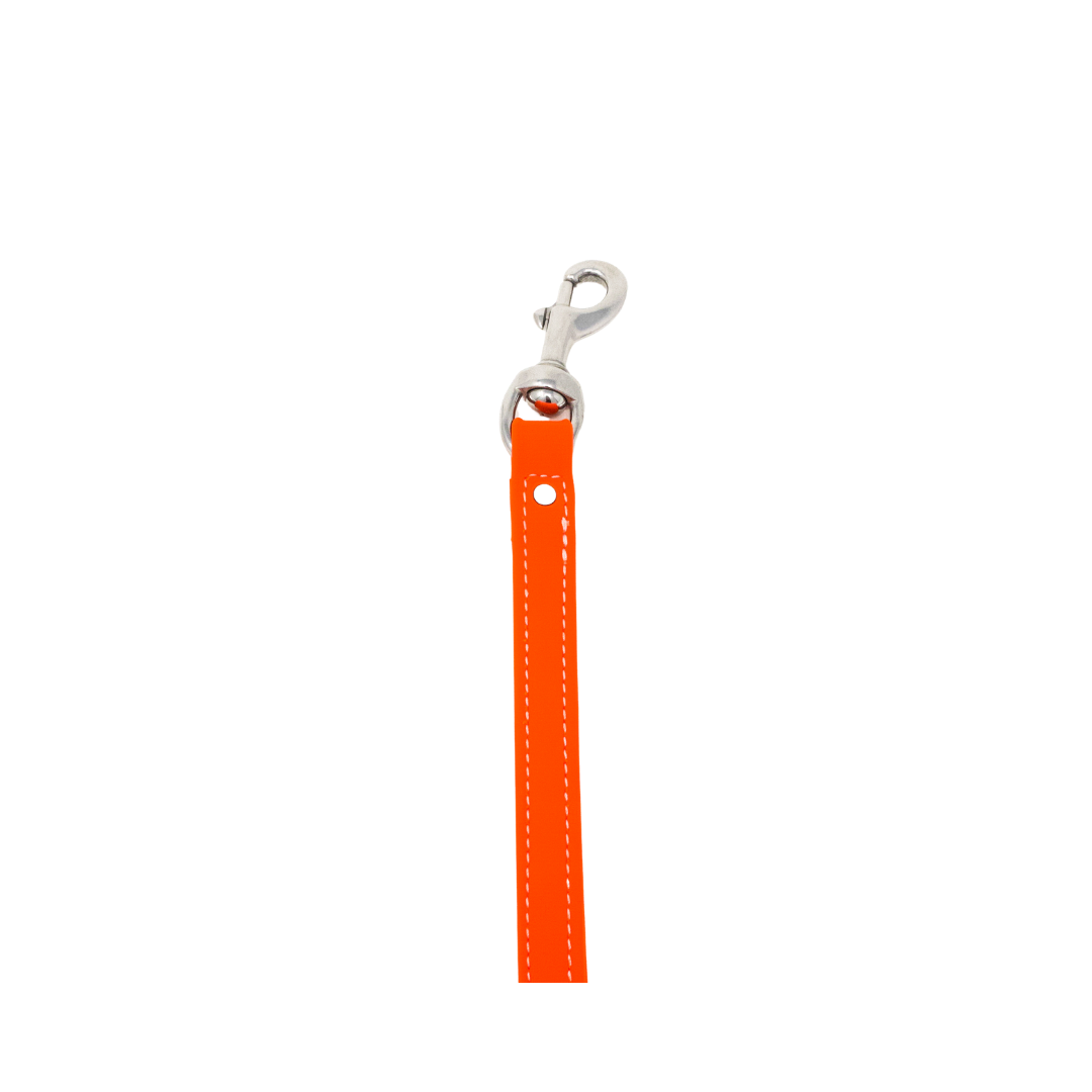 8" Steady Tab for Retriever Training