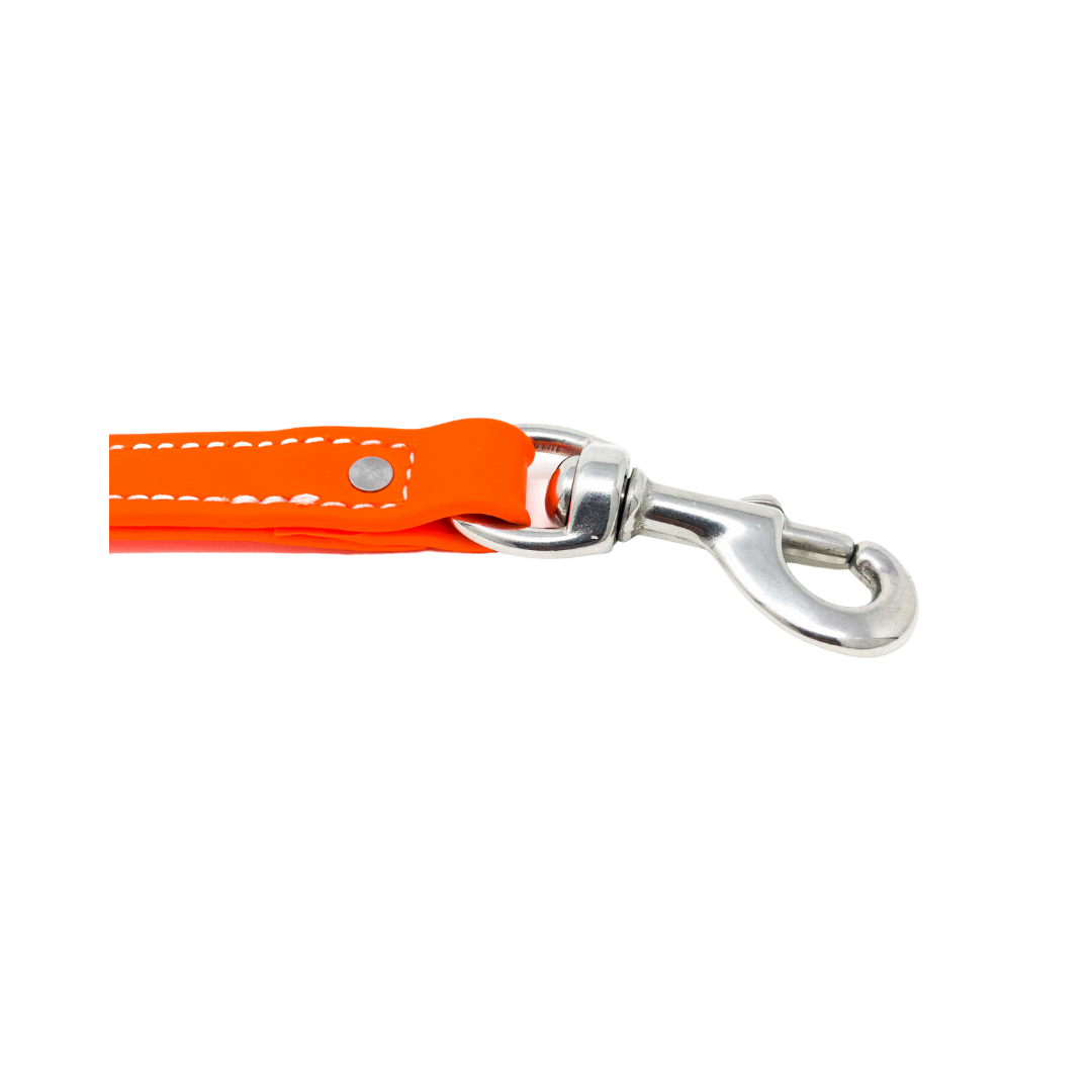 8" Steady Tab for Retriever Training