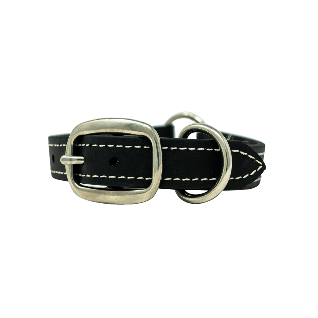 Flat Collar for Adult Hunting Dogs