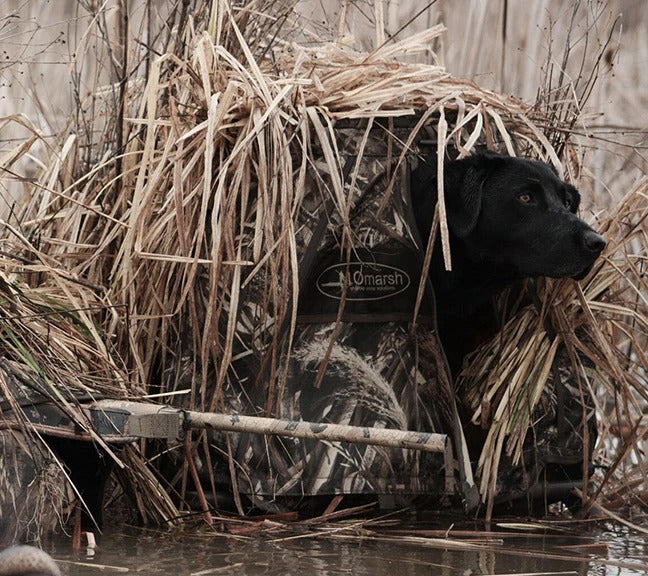 Invisi-lab Hunting Dog Blind