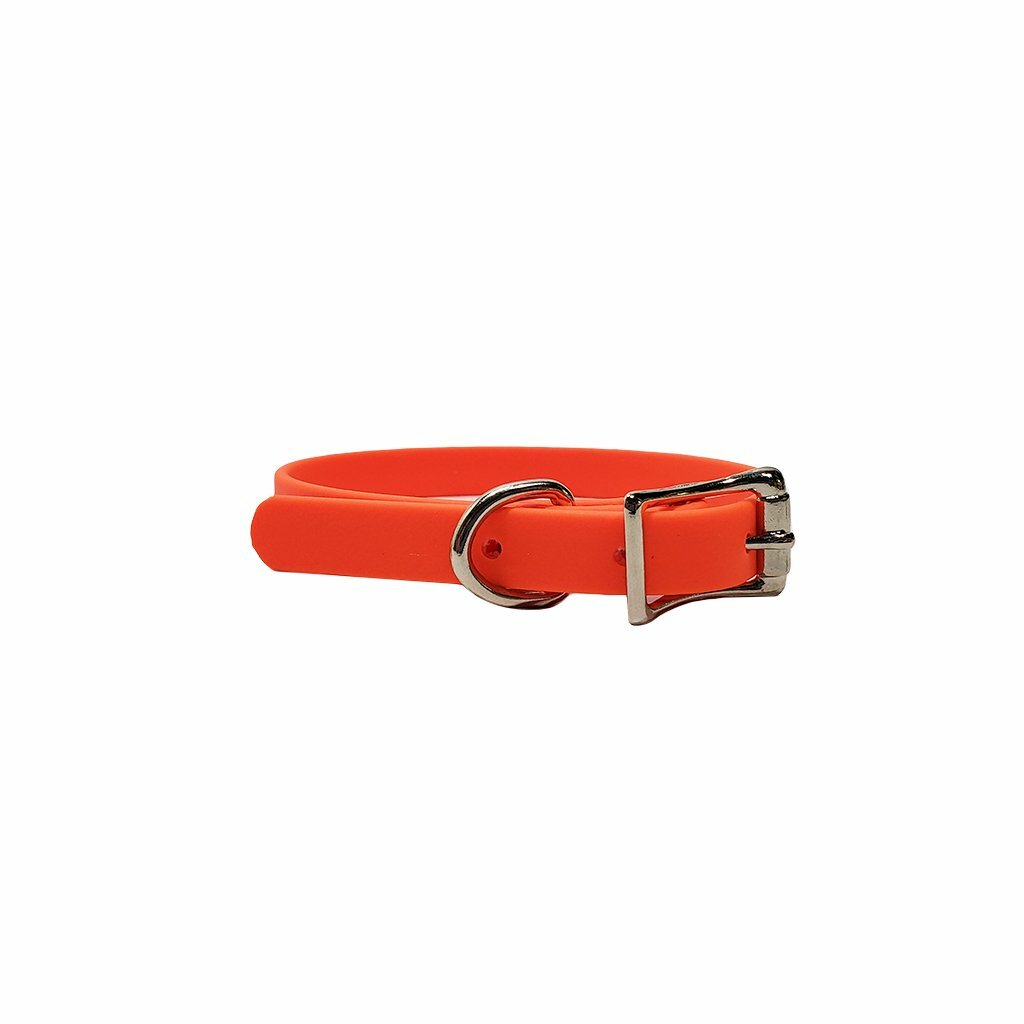1/2" Flat Collar for Puppies