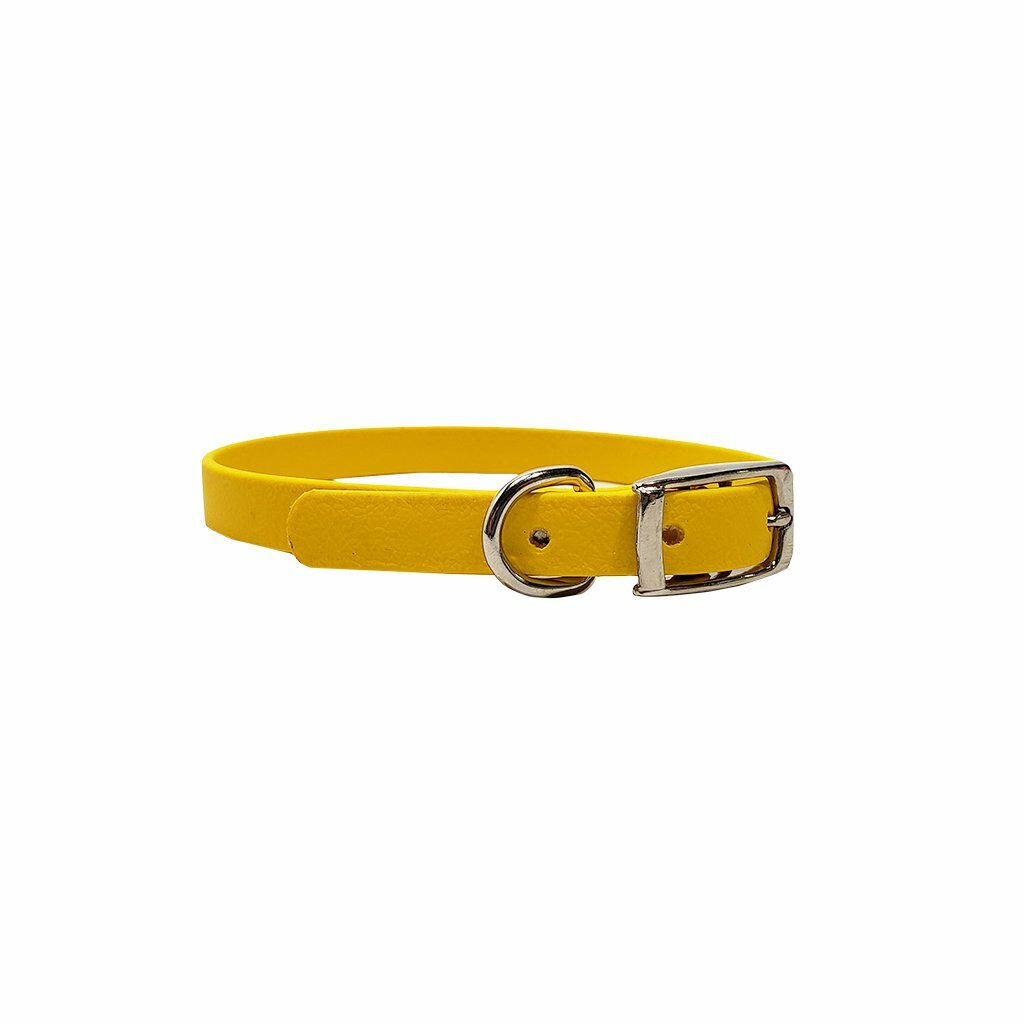1/2" Flat Collar for Puppies