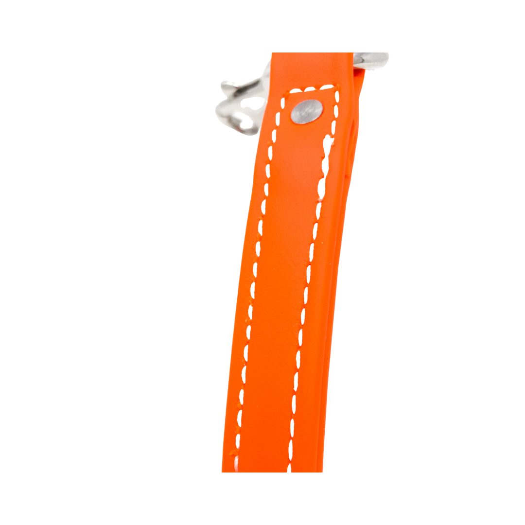 8" Steady Tab for Retriever Training
