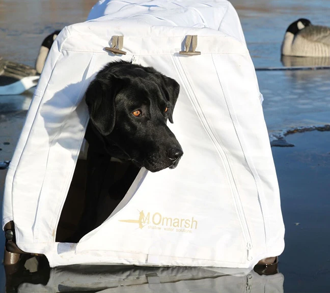 Invisi-lab/Field House Snow Cover