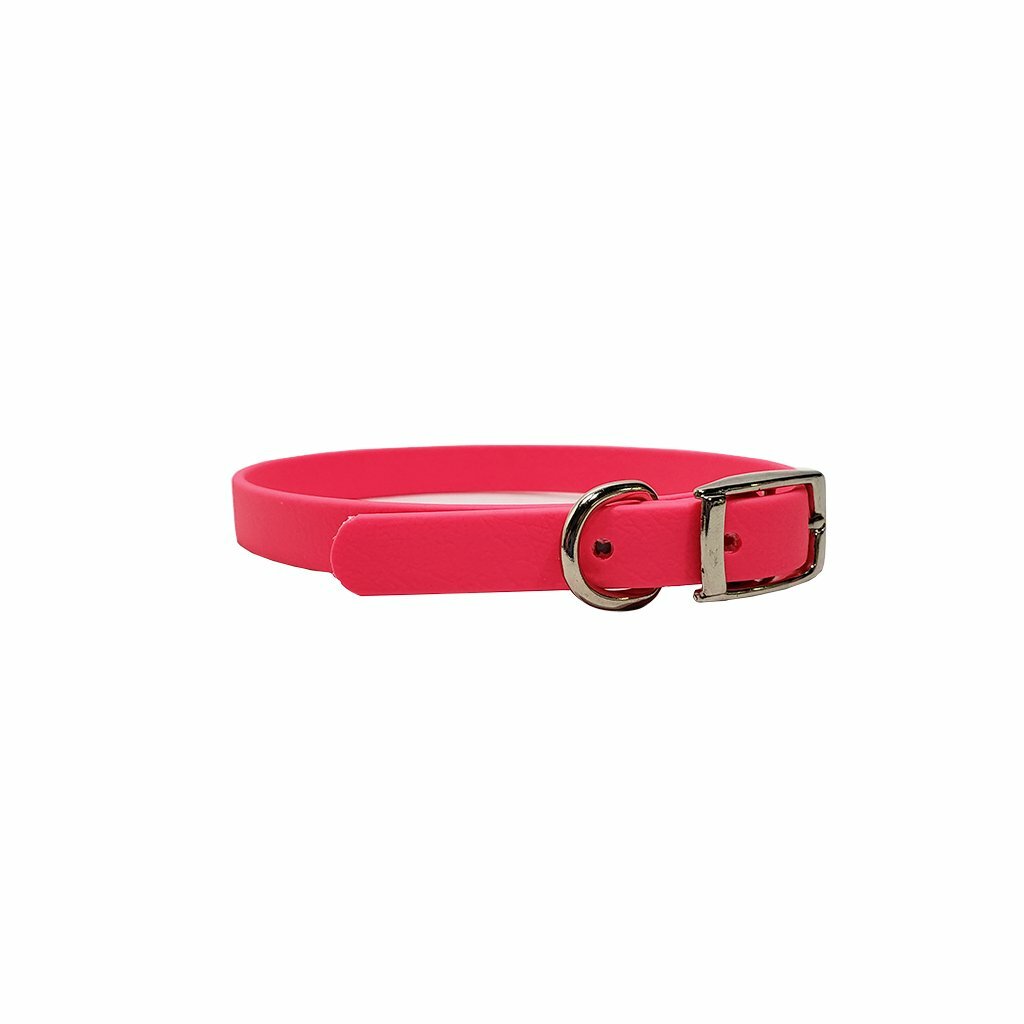 1/2" Flat Collar for Puppies