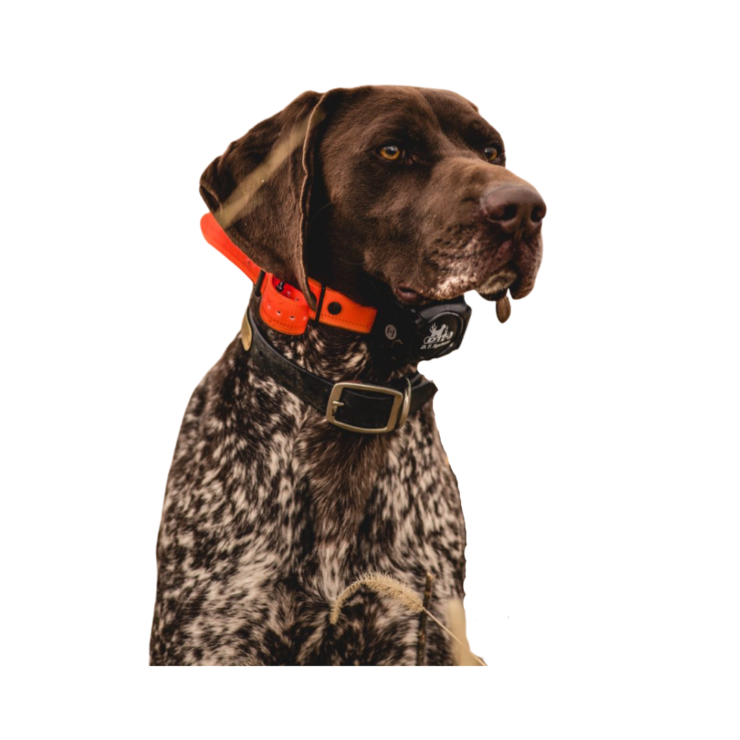 H2O 1850 PLUS Remote Beeper Trainer