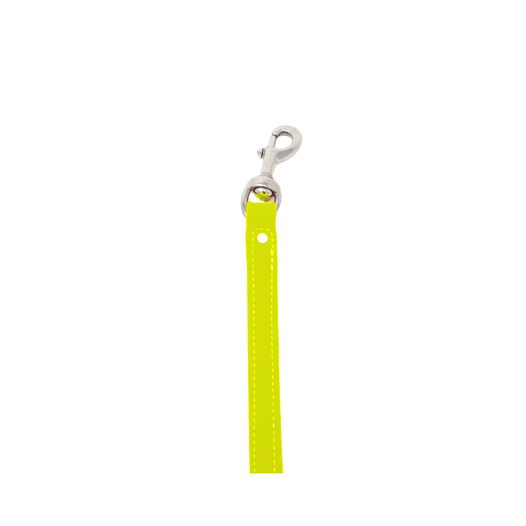 8" Steady Tab for Retriever Training