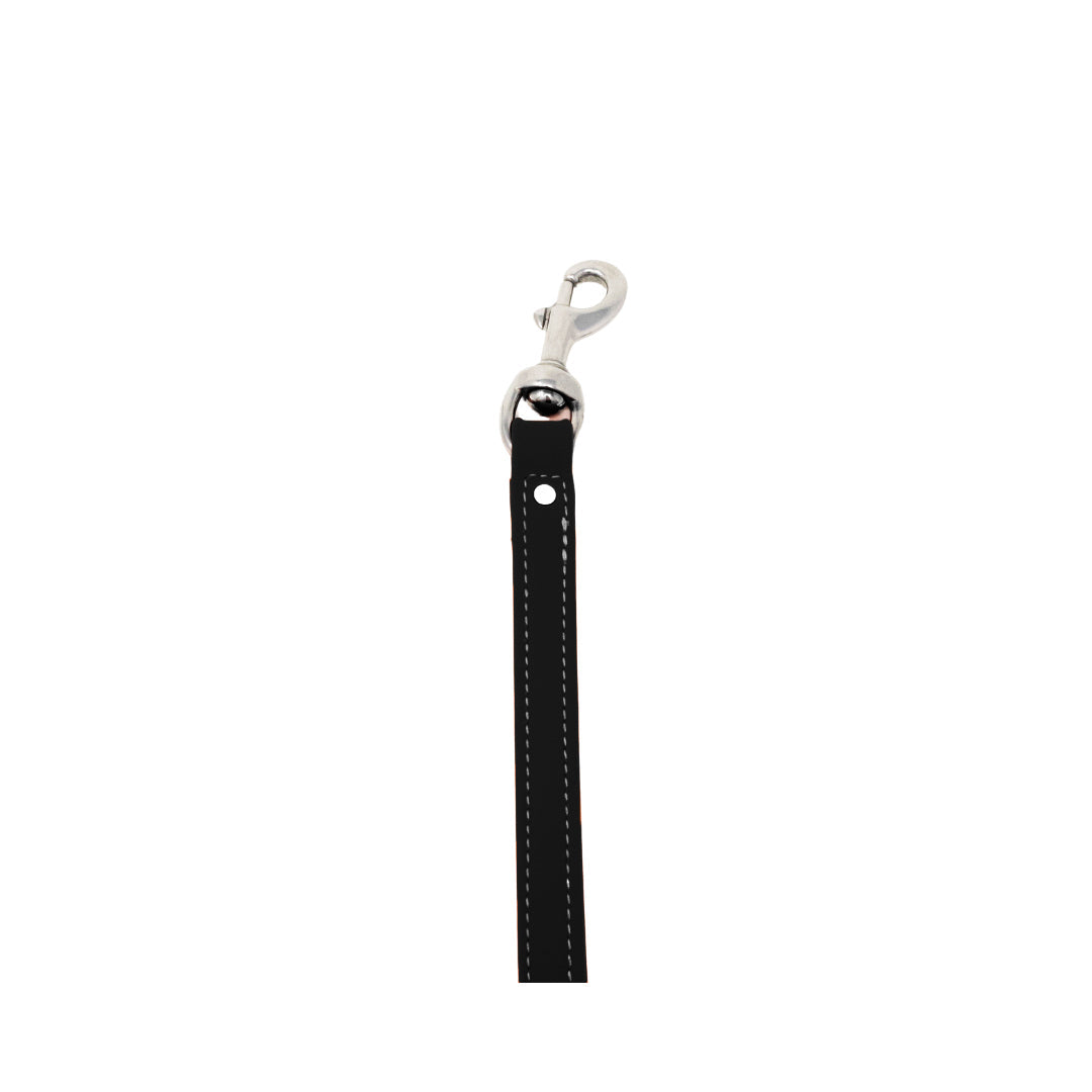 8" Steady Tab for Retriever Training