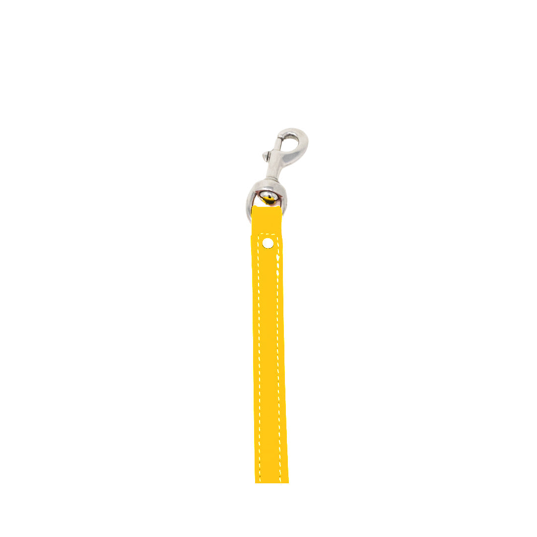 8" Steady Tab for Retriever Training