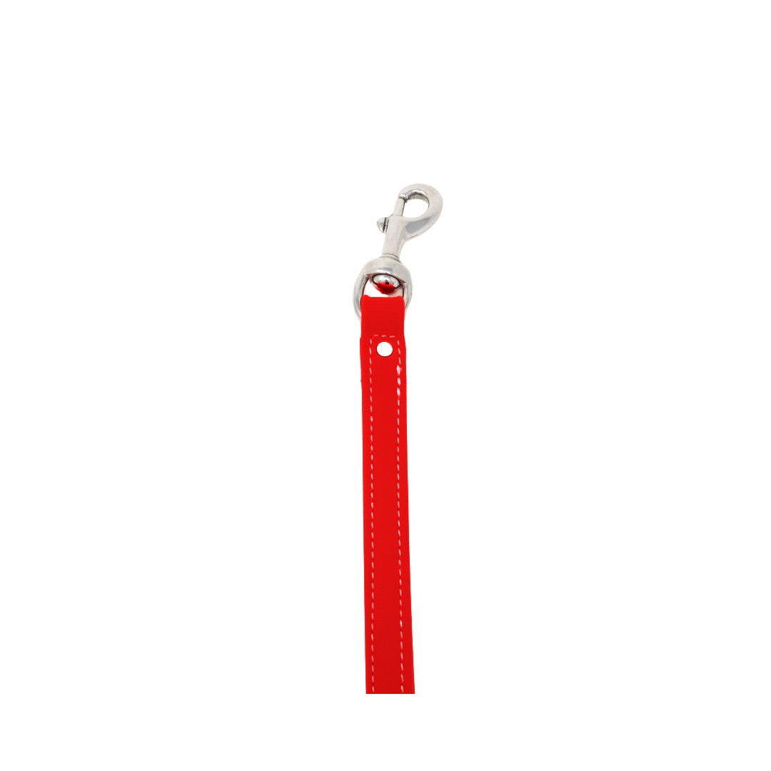 8" Steady Tab for Retriever Training