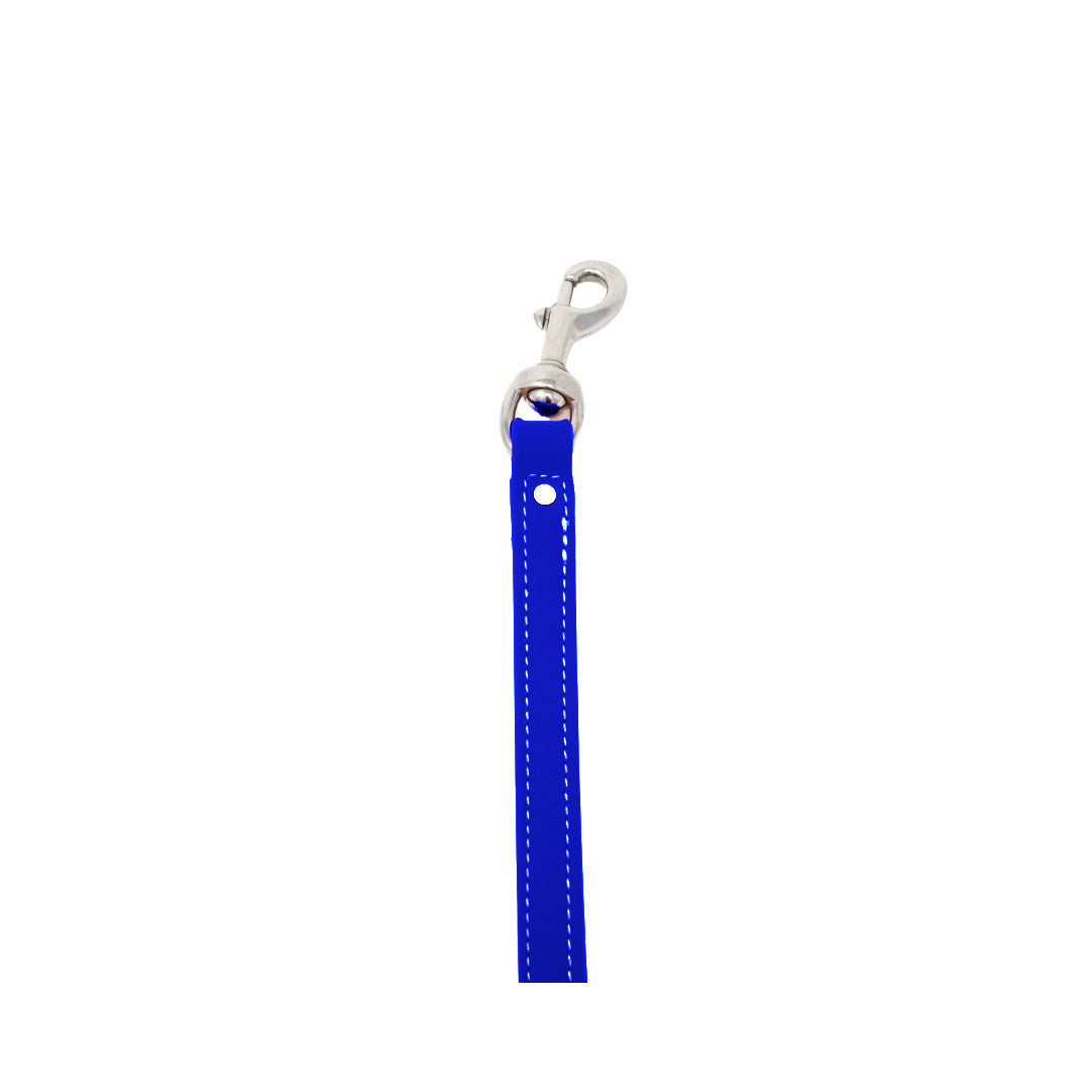 8" Steady Tab for Retriever Training