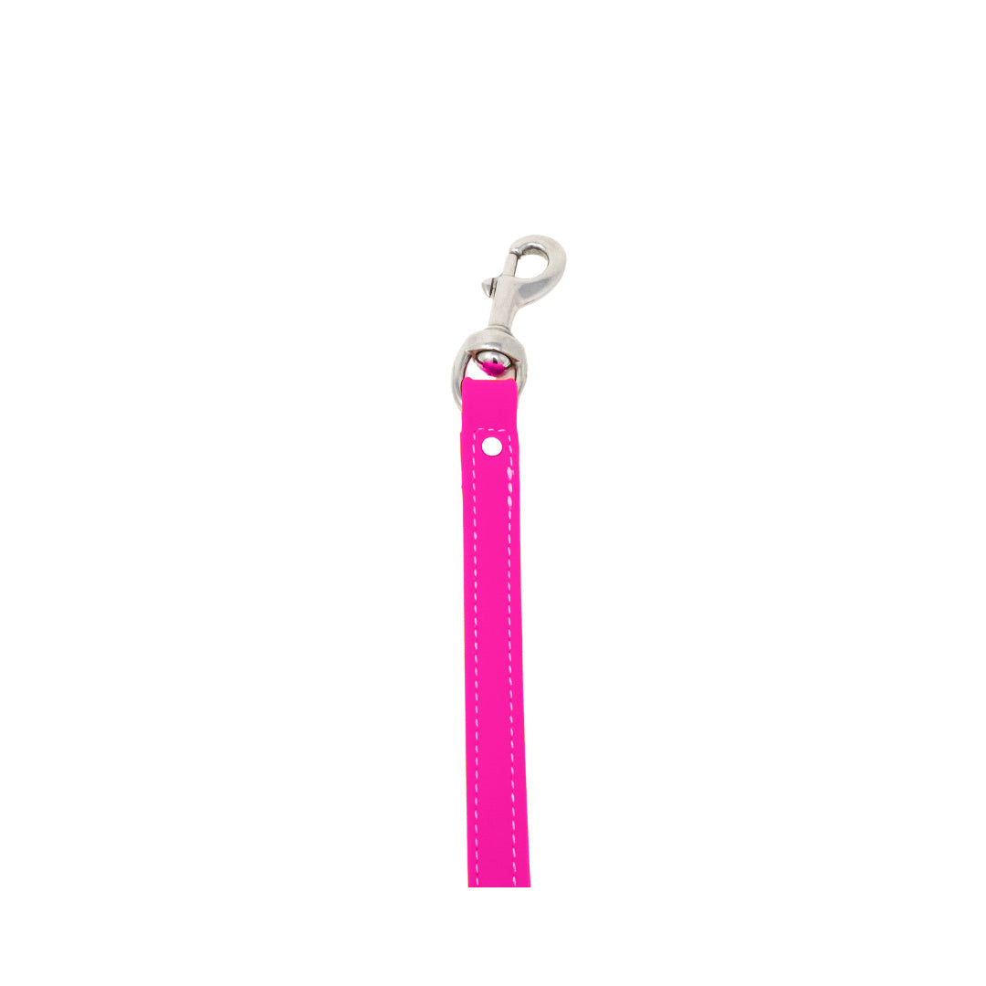 8" Steady Tab for Retriever Training