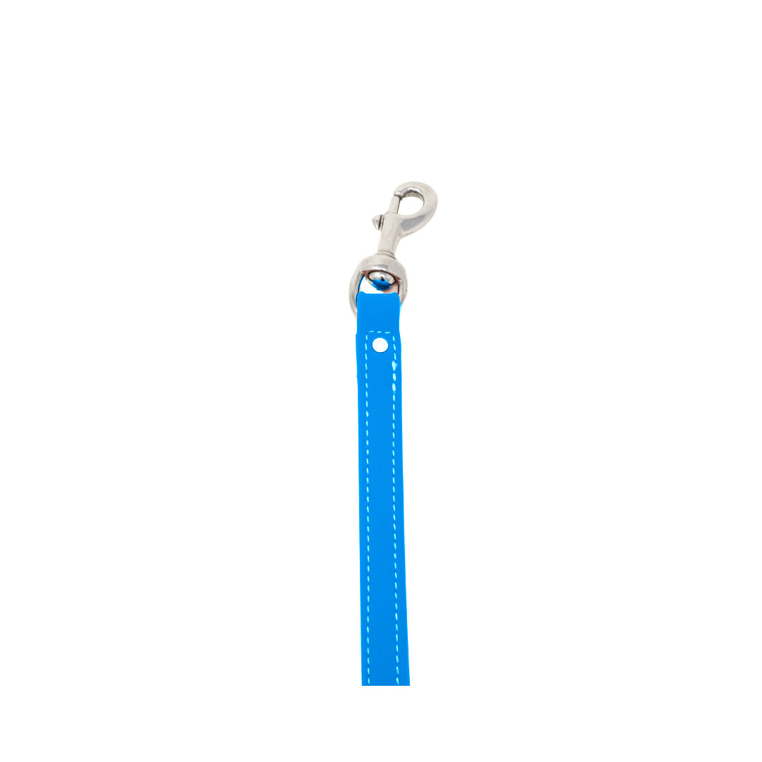 8" Steady Tab for Retriever Training