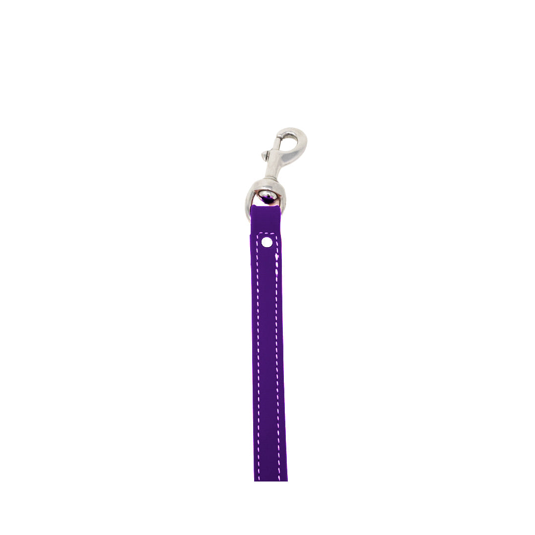 8" Steady Tab for Retriever Training