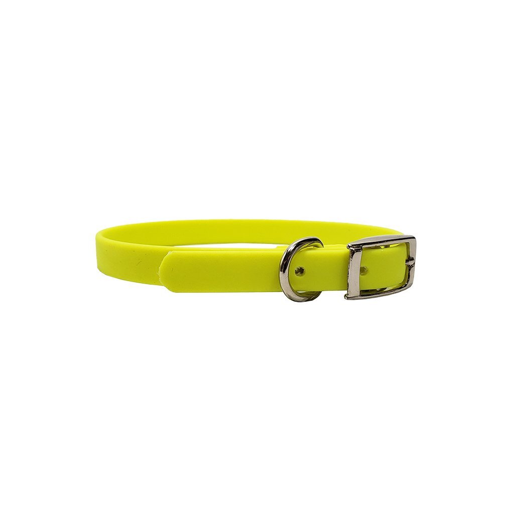 1/2" Flat Collar for Puppies
