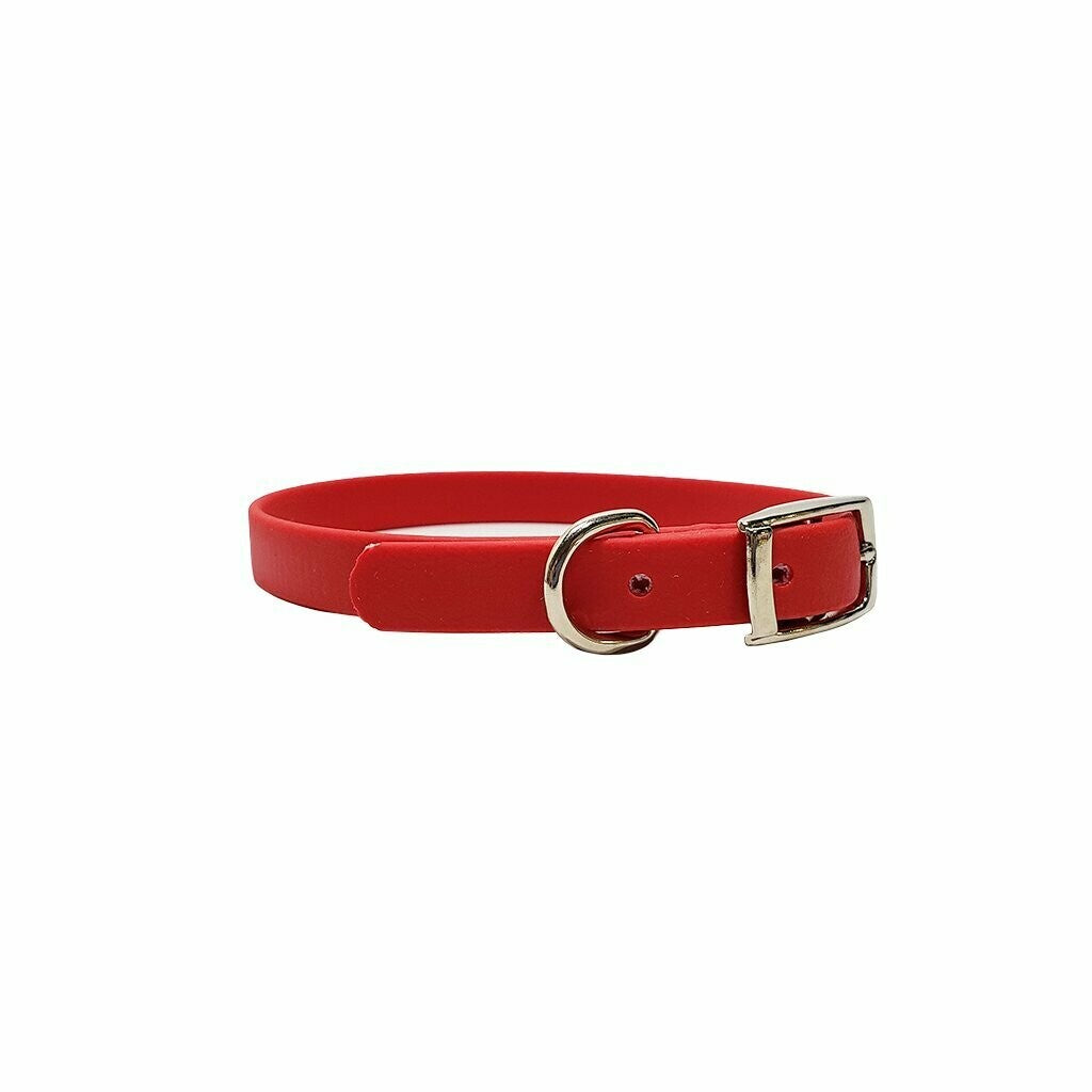 1/2" Flat Collar for Puppies