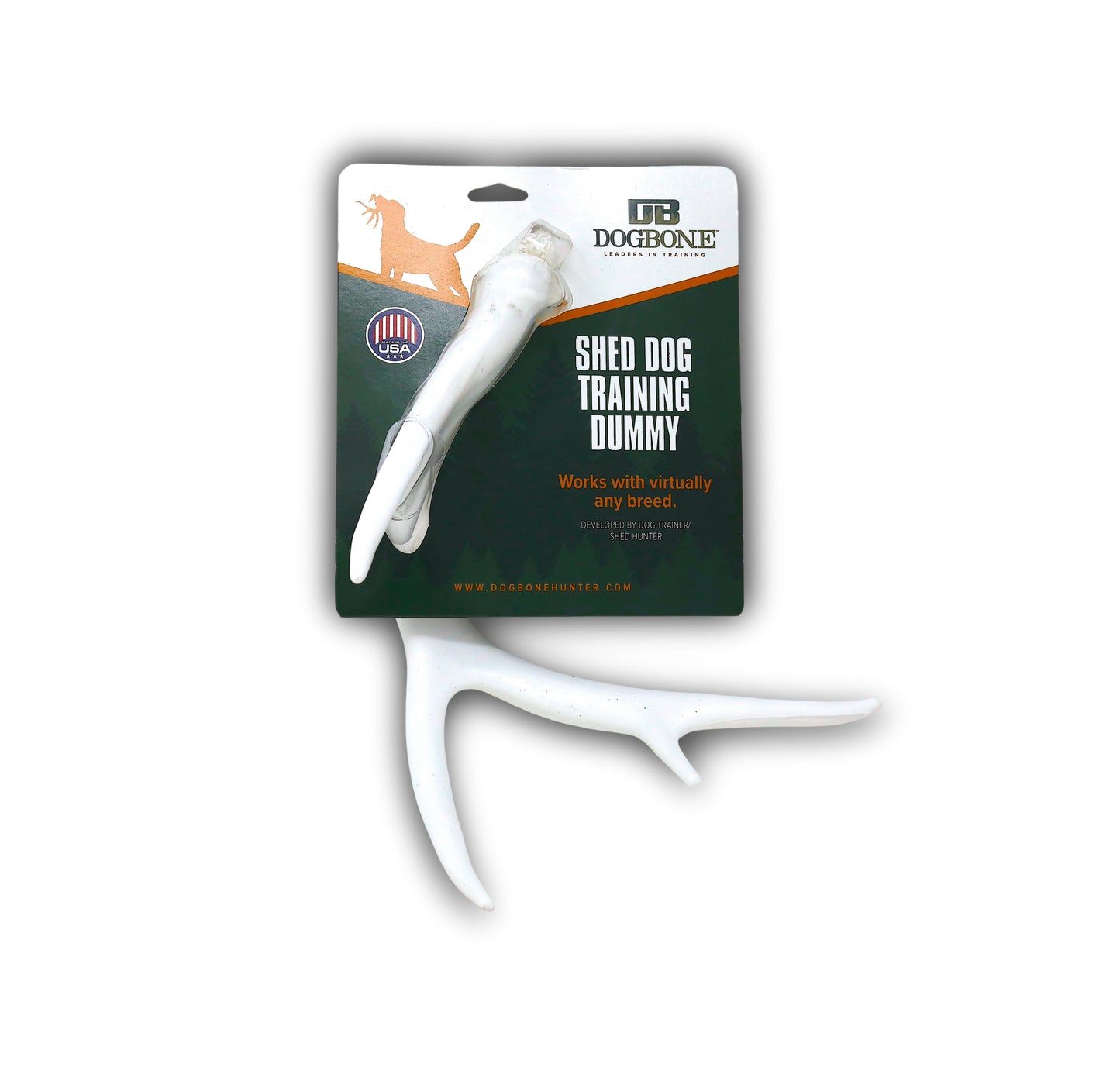Shed Antler for Retriever Training