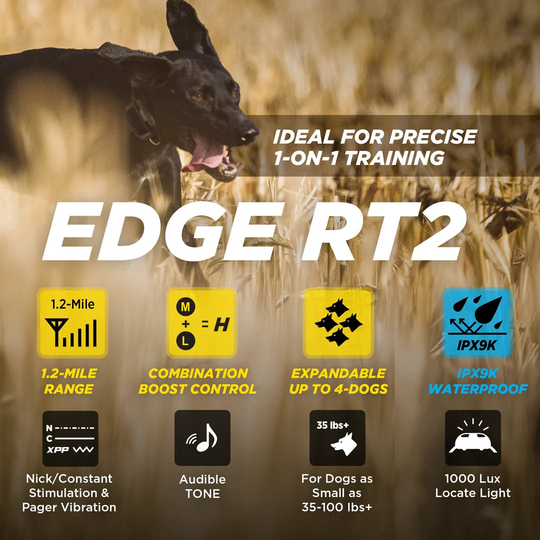 Edge RT2 1-Dog Unit
