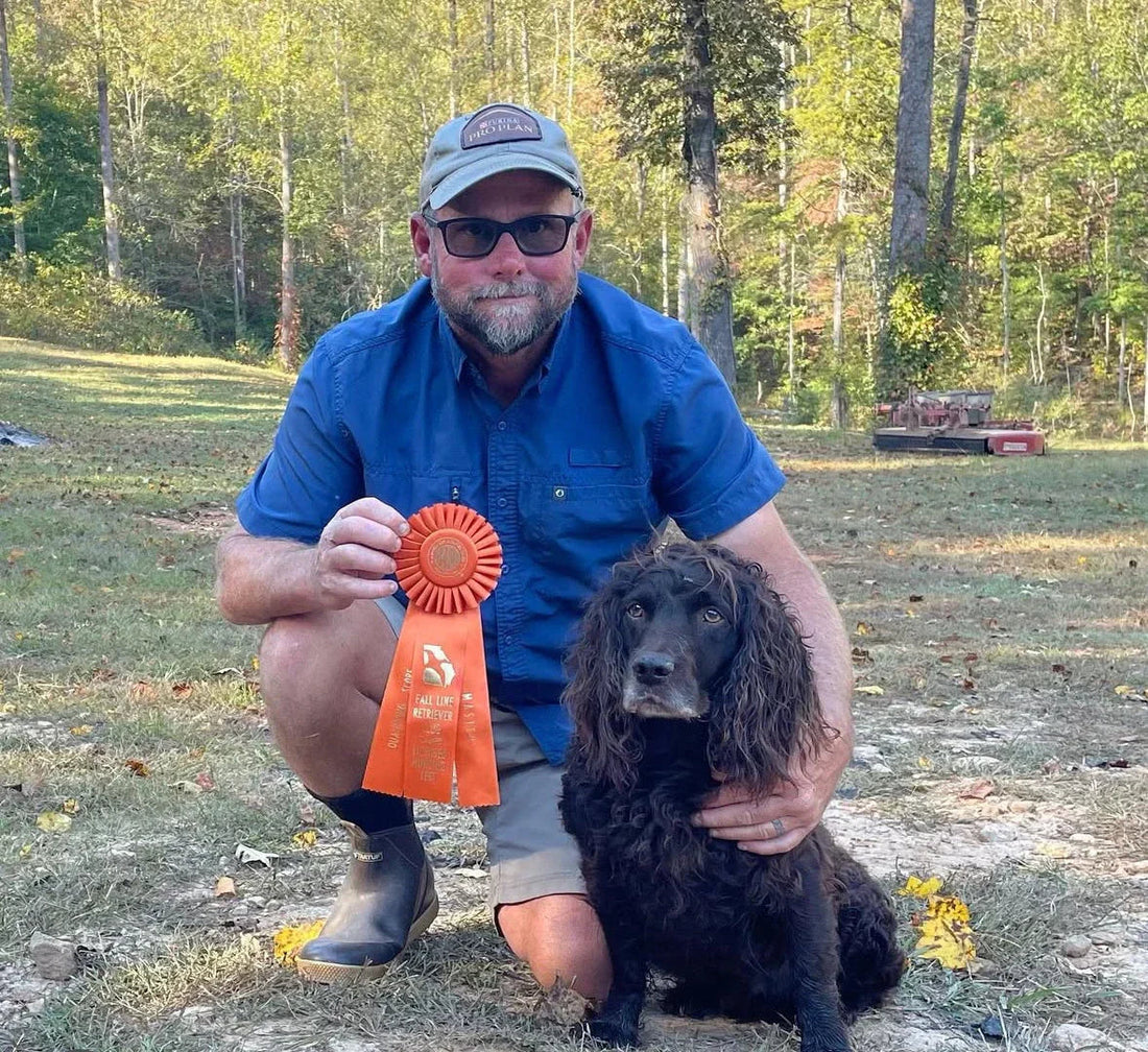 boykin spaniel