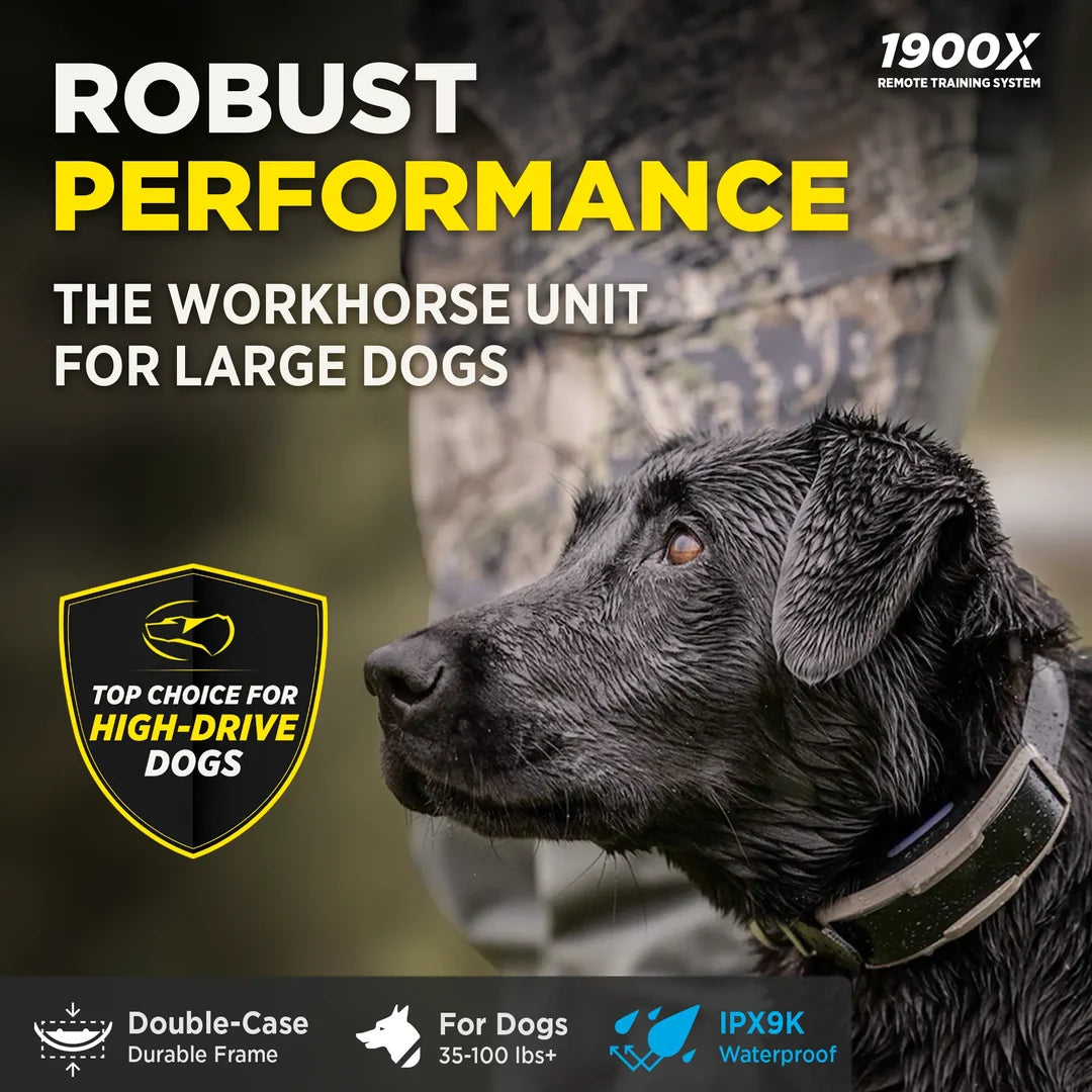 1900X 1-Dog Unit