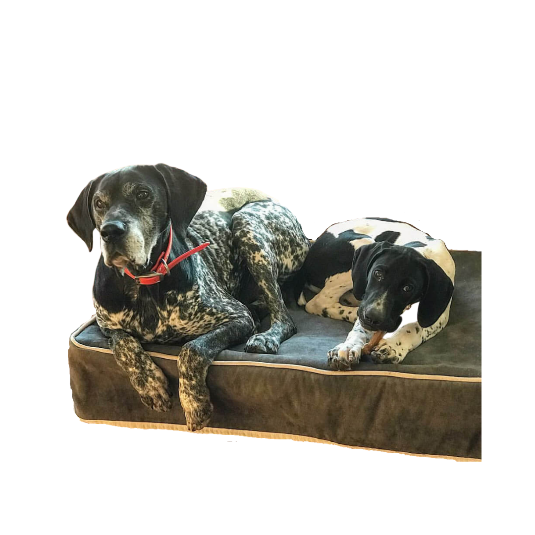 Microsuede Slipcover for Dog Beds