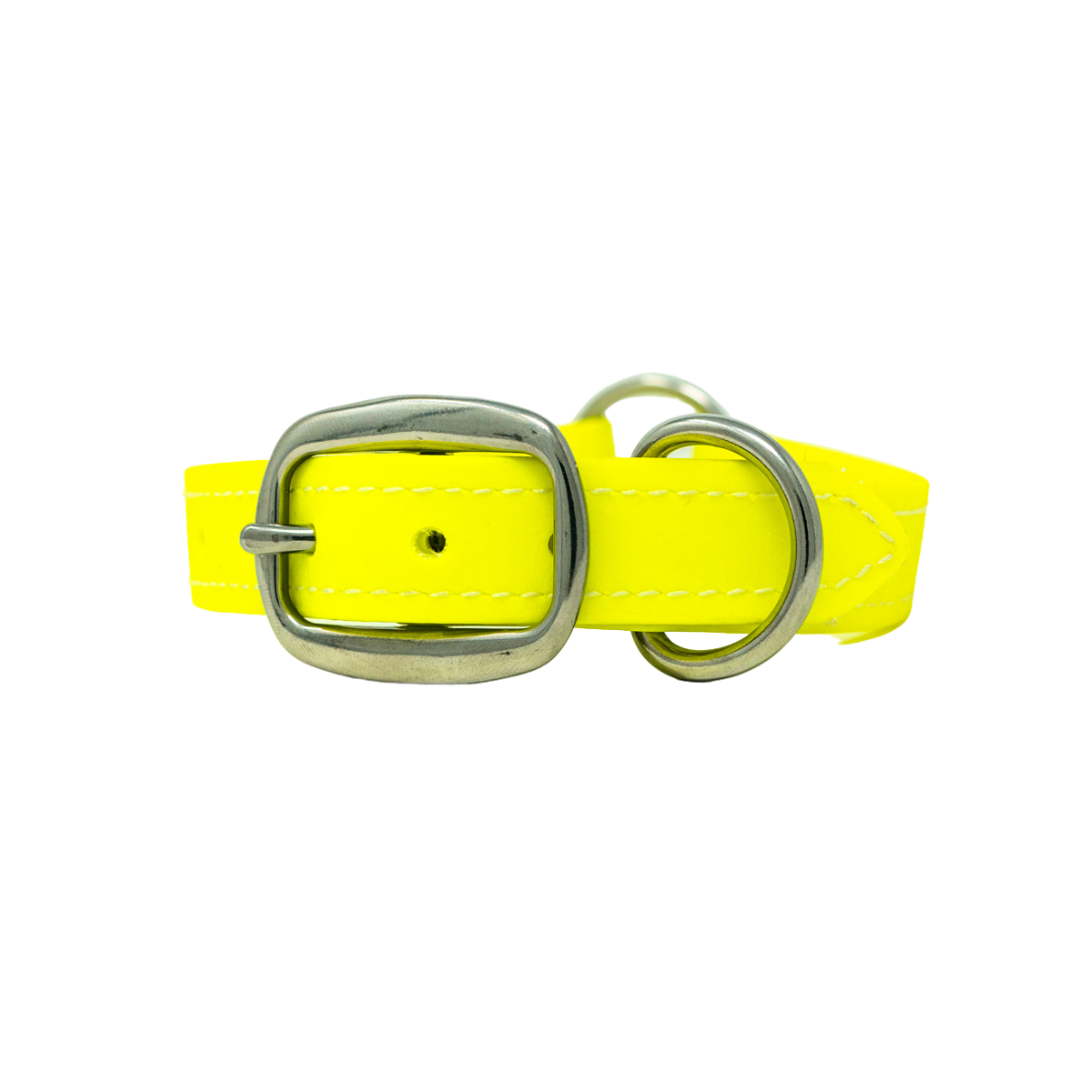 Flat Collar for Adult Hunting Dogs