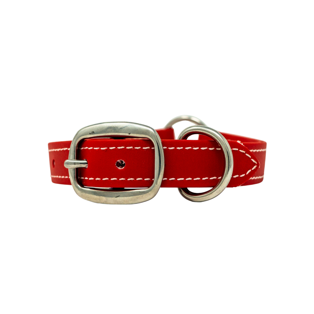 Flat Collar for Adult Hunting Dogs
