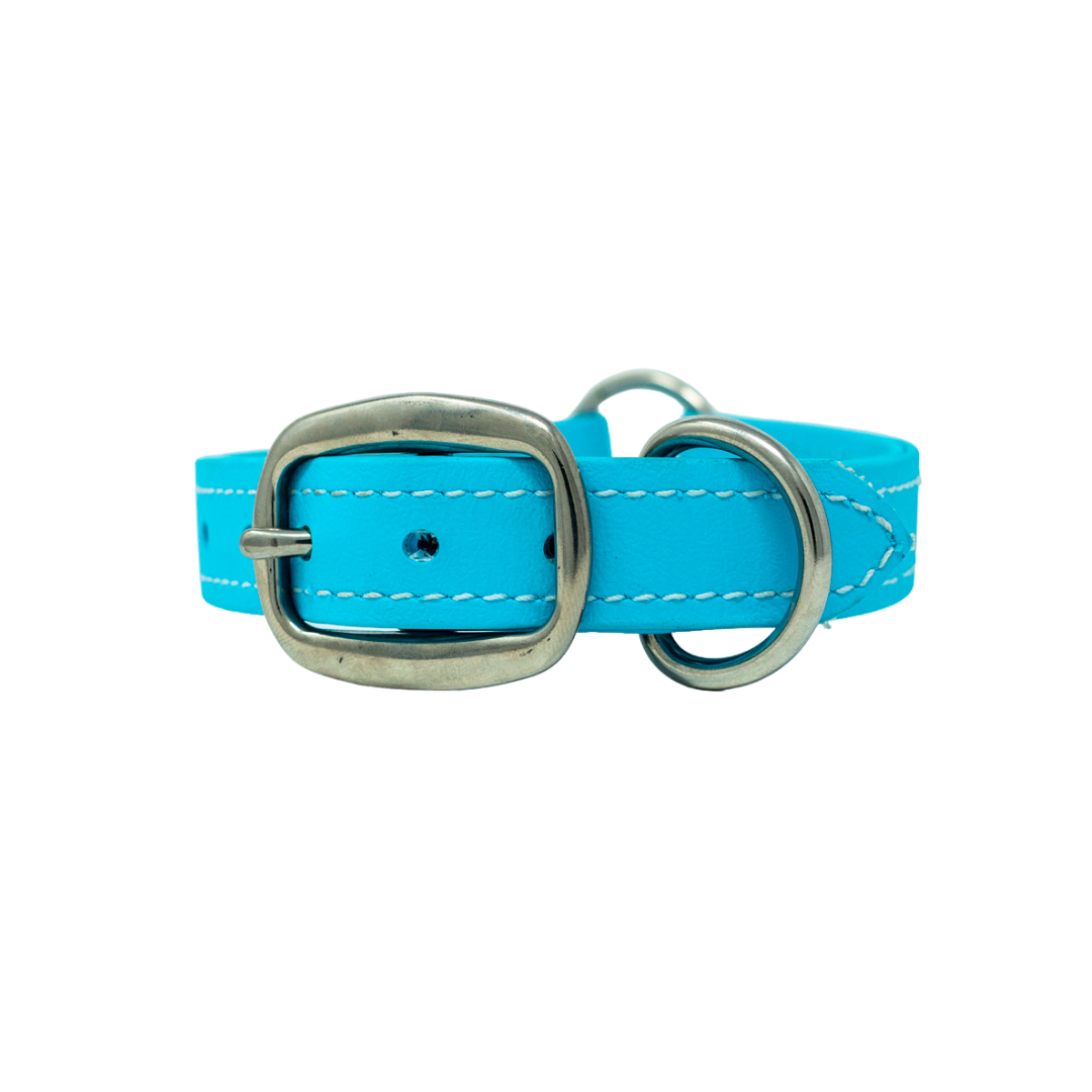 Flat Collar for Adult Hunting Dogs
