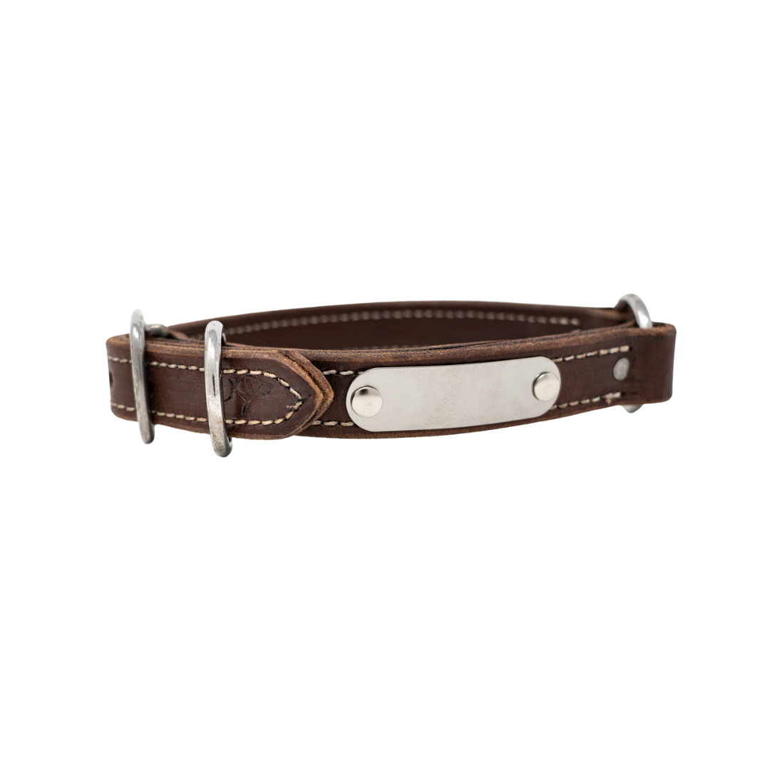Flat Leather Dog Collar for Hunting Dogs
