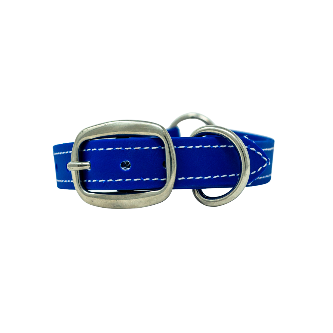 Flat Collar for Adult Hunting Dogs