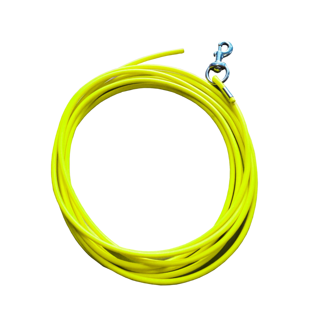 Long Leash: Check Cord for Dog Training