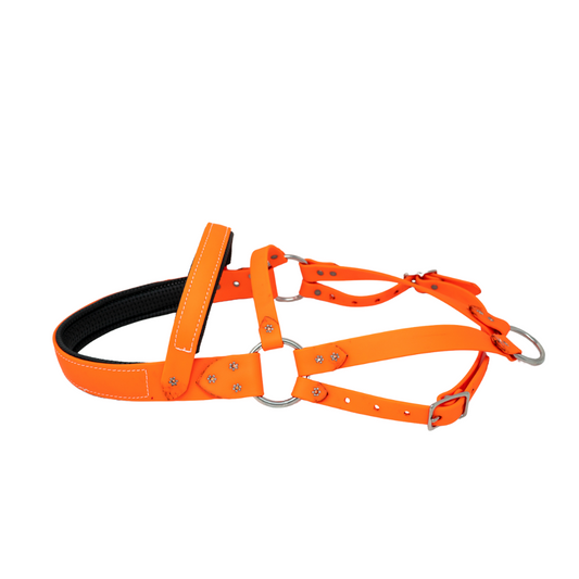 Biothane Roading Harness for Hunting Dogs