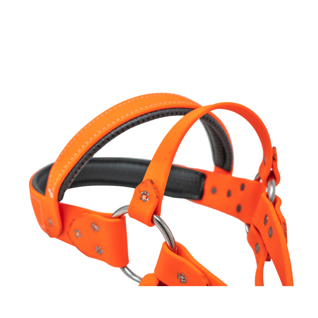 Biothane Roading Harness for Hunting Dogs