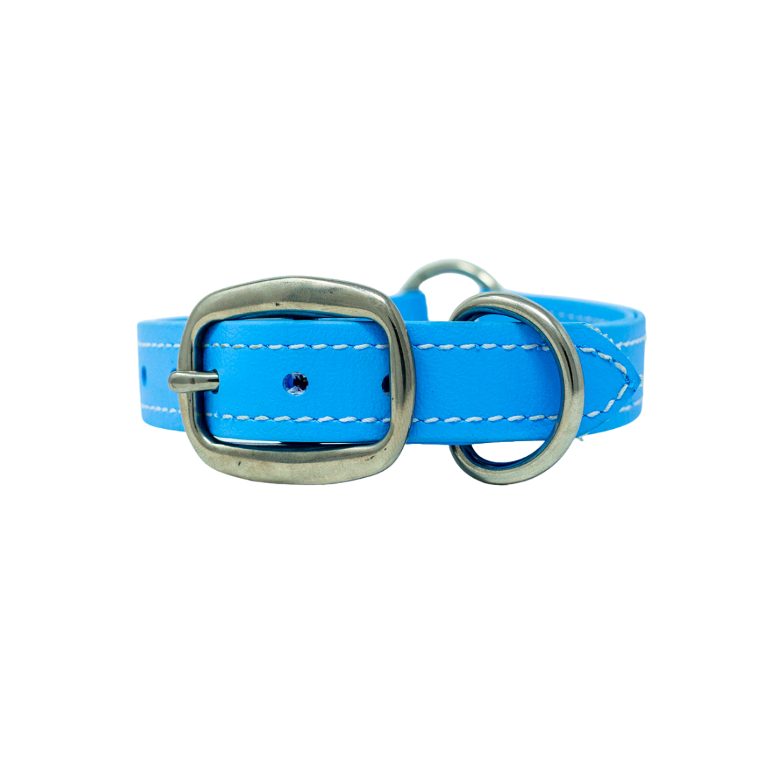 Flat Collar for Adult Hunting Dogs
