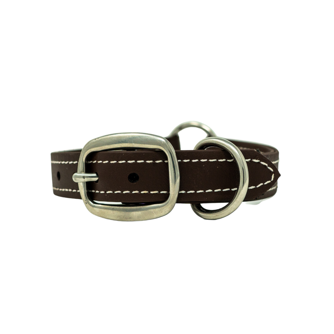 Flat Collar for Adult Hunting Dogs