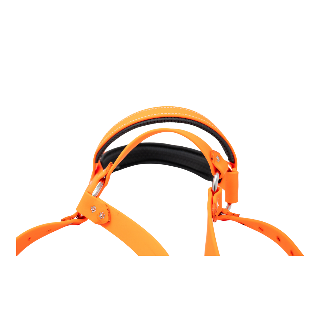 Biothane Roading Harness for Hunting Dogs