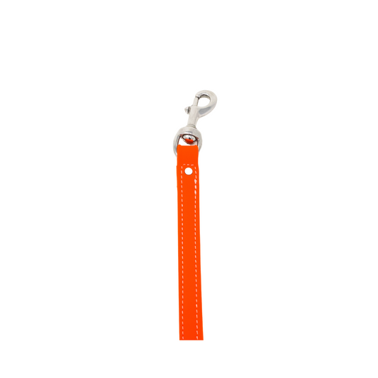 8" Steady Tab for Retriever Training