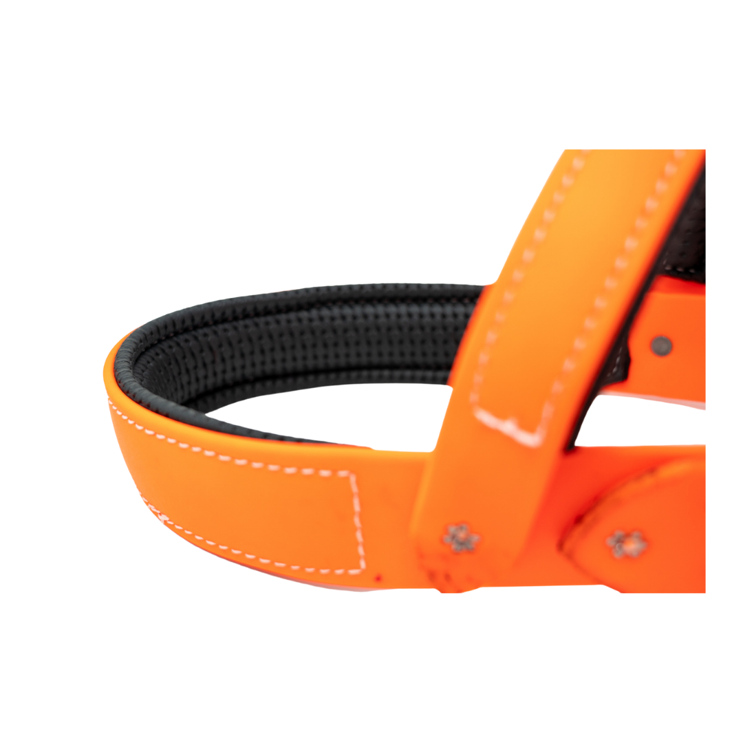 Biothane Roading Harness for Hunting Dogs