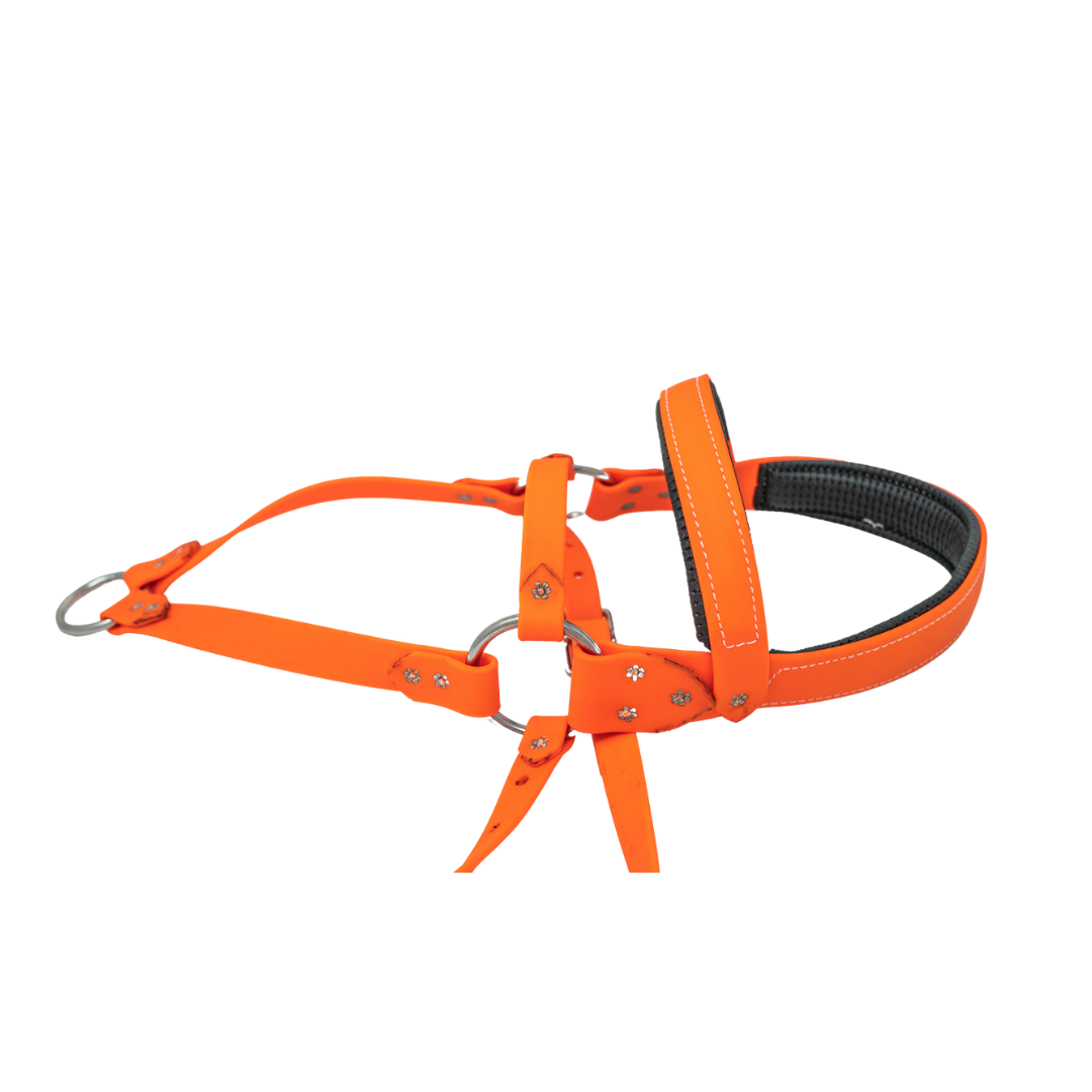 Biothane Roading Harness for Hunting Dogs