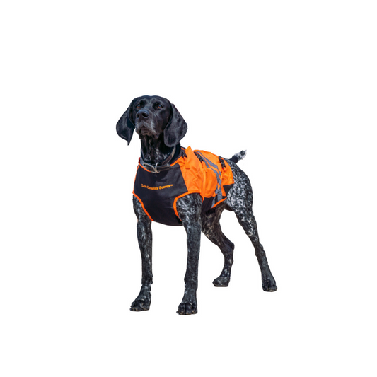 Bird Dog Armor Vest