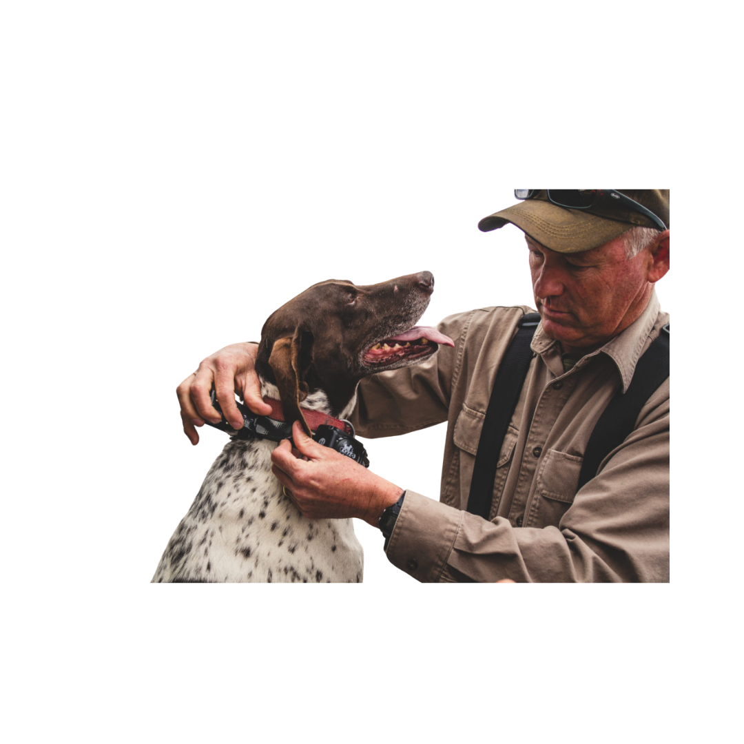 SPT 2400 Series - 2430 Long Range Remote Trainer