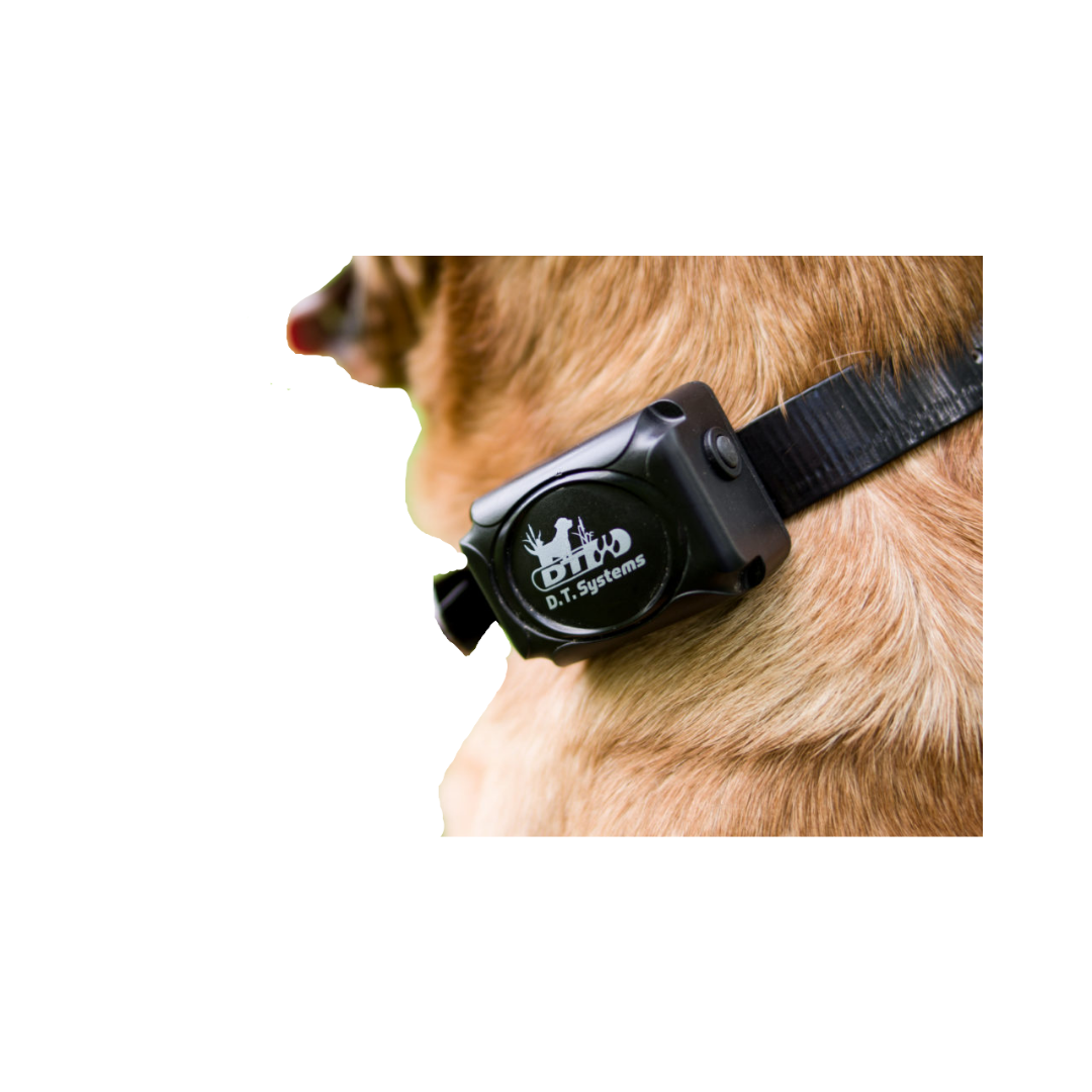 SPT 2400 Series - 2420 Long Range Remote Trainer