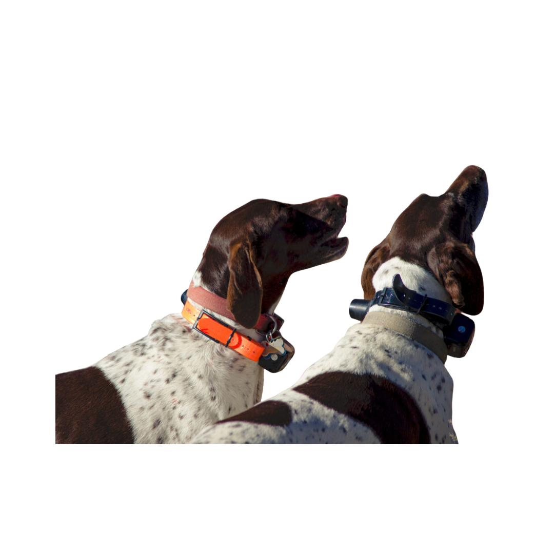 SPT 2400 Series - 2430 Long Range Remote Trainer