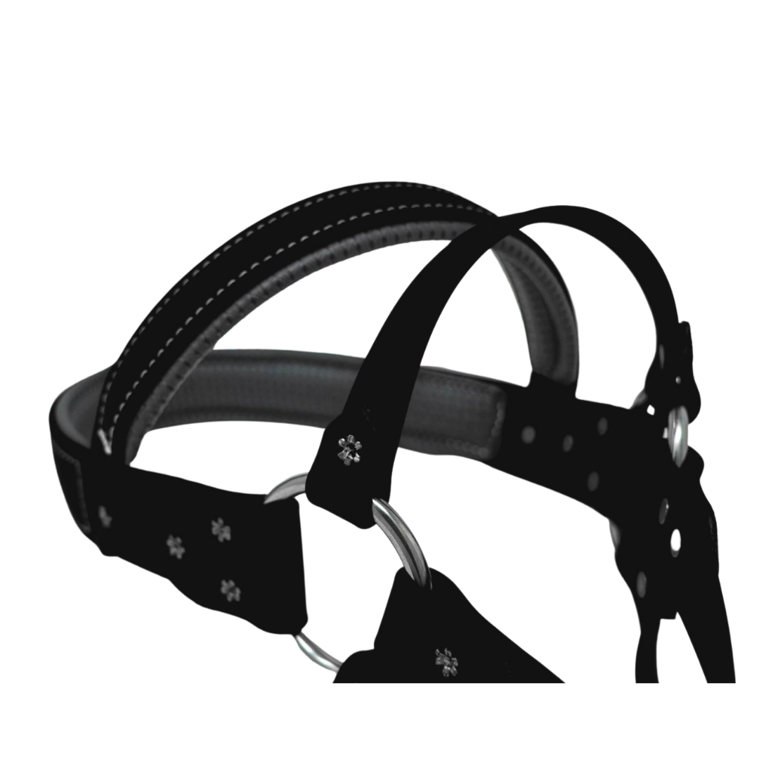 Biothane Roading Harness for Hunting Dogs
