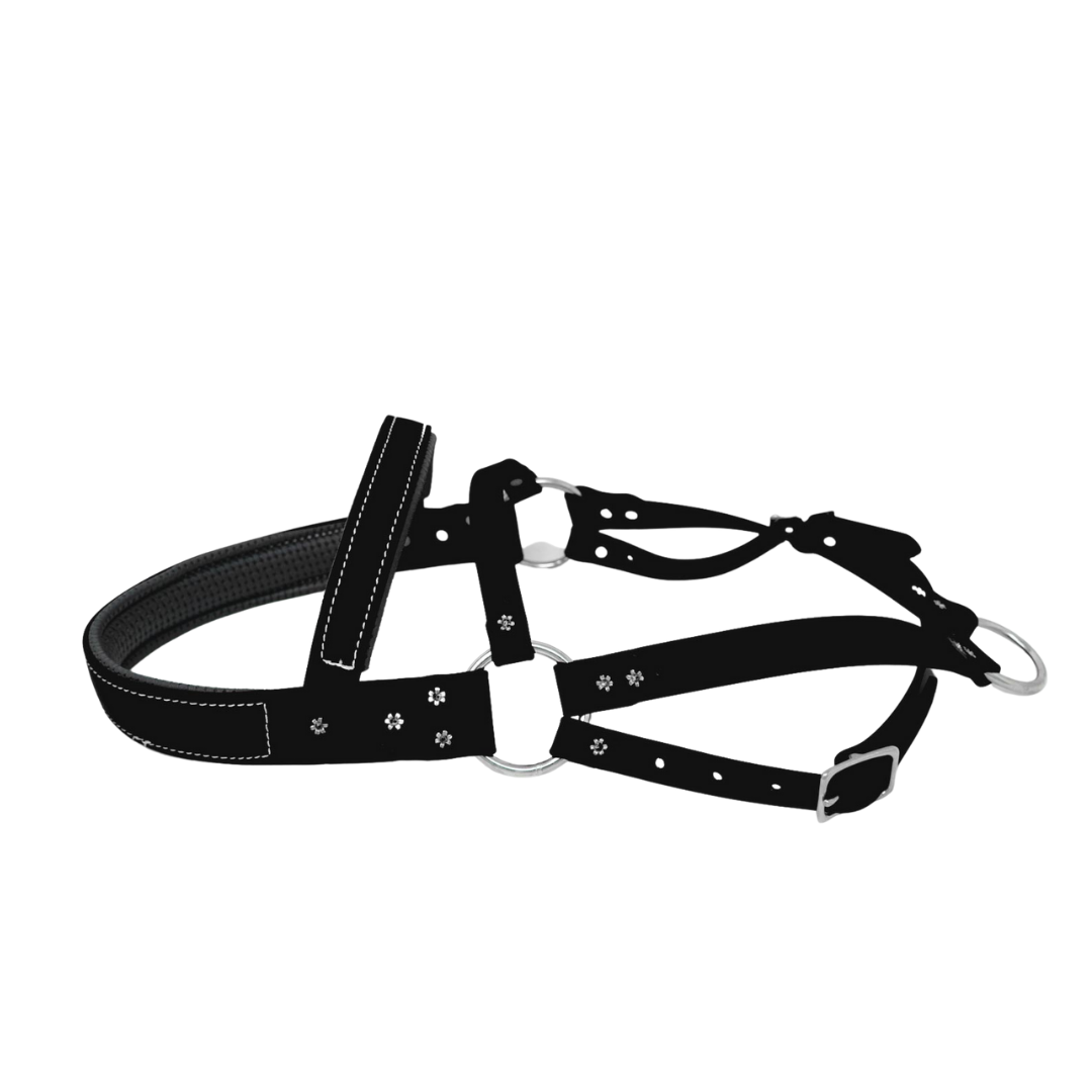 Biothane Roading Harness for Hunting Dogs