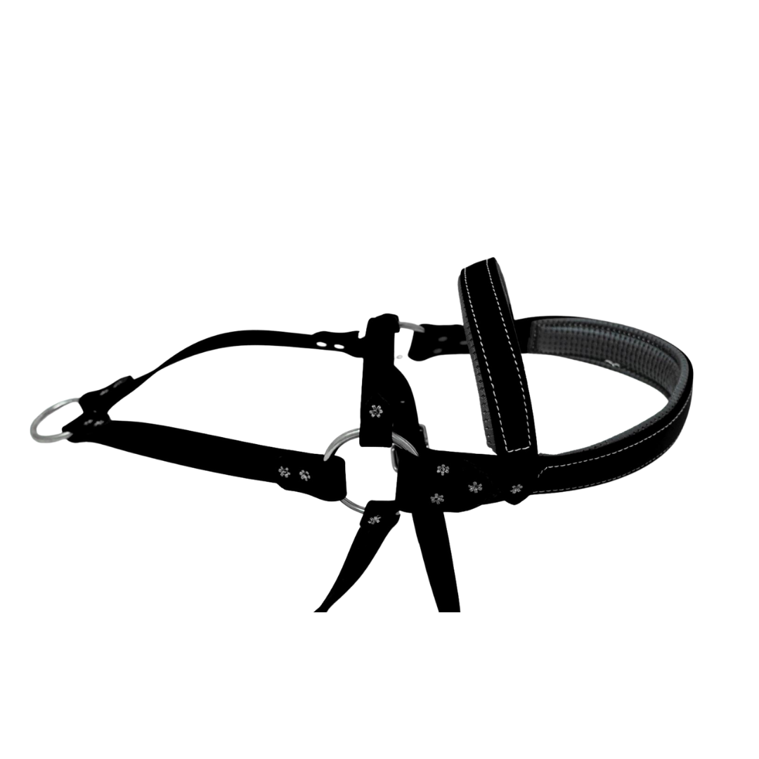 Biothane Roading Harness for Hunting Dogs