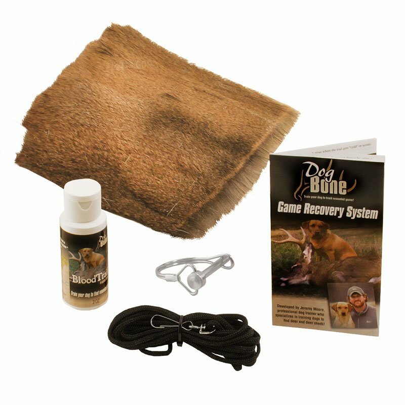 Game Recovery System