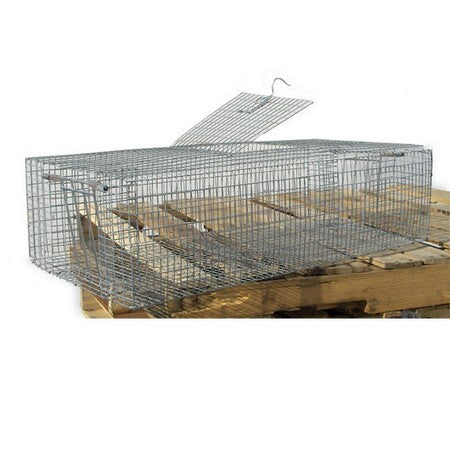 Double Door Pigeon Trap for Dog Training