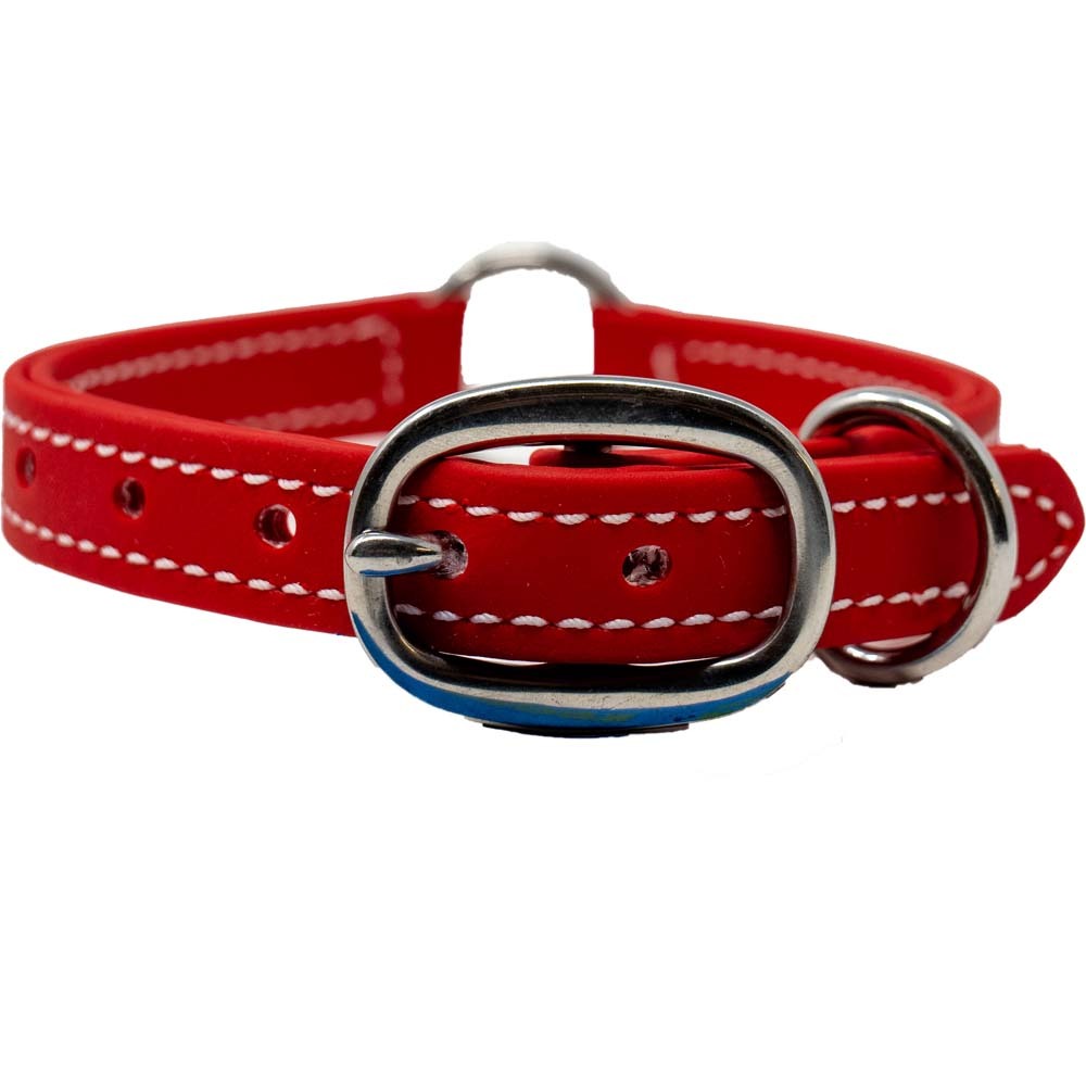 Juvenile Flat Dog Collar - Biothane